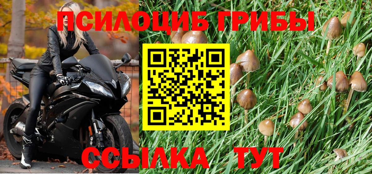 Бутурлиновка  как найти   Вход с VPN  Галлюциногенные грибы Magic Shrooms 